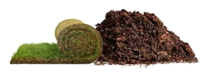 dirt-sod